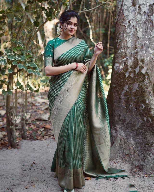 Ddf Payal Organic Banarasi Lichi Silk Designer Saree Catalogue 